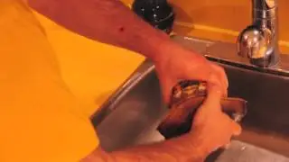 How to Kill and Clean a Live Dungeness Crab