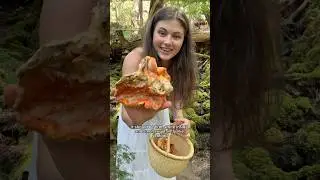 Edible lobster mushrooms: what to look for and how to tell if you should leave it behind. Delicious!