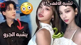 وجوه كلاسيكية وصادمة في الكيبوب ان امتلكت على الاقل واحدة منها فأنت حتما تشبه الأيدولز!!