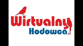 5.Z wizytą u hodowcy kanark&oacute;w śpiewających. Slavujary kanarki z bardzo ciekawym śpiewem.