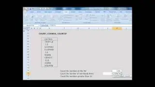 MS Excel: Count, CountA, CountIf