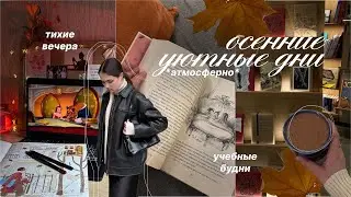 Осенние будни🍂: дни с 7 утра, учеба, домашний уют, дисбаланс в делах, книжная лавка