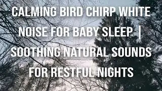 Calming Bird Chirp White Noise for Baby Sleep | Soothing Natural Sounds for Restful Nights
