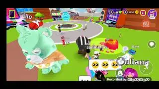 Tentando trocar pets (não troquei meu mico-estrela tá!)#tradepet #pkxd #000