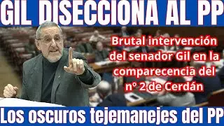 💥EL SENADOR ALFONSO GIL HACE un REPASO PERFECTO de las ANDANZAS del PP