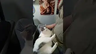 Я и мой маленький милый дружок