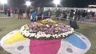 flower festival in karachi | flower show 2026 | flower show | flower show exhibition | 95 PAK NEWS