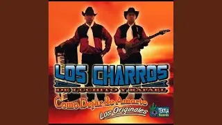 Ando de Borrachera