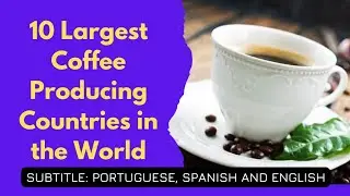 10 Largest Coffee Producing Countries in the World