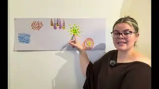 Graphic notation score 