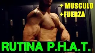 TODO SOBRE LA RUTINA PHAT | GANA MUSCULO Y FUERZA