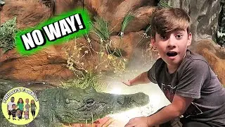 AMAZING TACO SALAD AT RAINFOREST CAFE | LARGE FAMILY GOES TO JUNGLE THEMED RESTAURANT | EAT WITH ME
