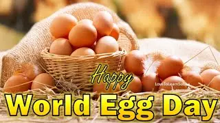 World Egg Day 2025 |World Egg Day Whatsapp Status |World Egg Day |World Egg Day Quotes |Egg Day 2025