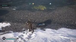 Assassin's Creed&reg; Valhalla -Seal