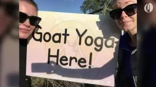 Even TV stars Rebecca Romijn love Oregon&rsquo;s goat yoga