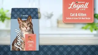 Nutrena Loyall Life Cat & Kitten Salmon & Ocean Fish Meal Recipe