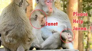 Oh!Janet Steal Milk From Poor Baby Janna Injured & Push Janna Fall|Why Janet Do Like This To Janna?
