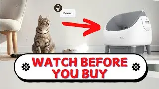 Honest Review Of Open-Top Self Cleaning Litter Box