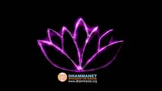Introducing Dhammanet - Spreading the Wisdom