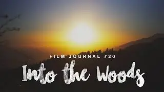 Into the Woods (Sony a6500 + Sigma 30mm 1.4 Footage)