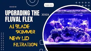 Модернизация Fluval FLEX &mdash; лезвие AI/P-скиммер/фильтрация/крышка &mdash; 2023 &mdash; 4K #Fluvalflex32.5g