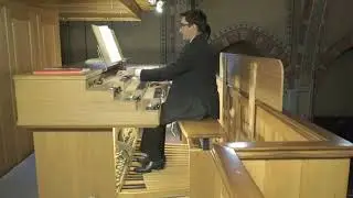 Federico Andreoni - L. Vierne - Finale dalla sinfonia in Re Minore op.14 n.1