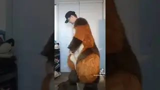How to put on a Fursuit #furry #fursuit #furryfandom #furrytrash #fursuiter #fursuiting