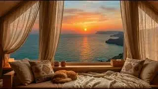 Relax Focus Music 🌅 Calm Concentration for Work & Study with a Sleeping Ginger Cat 🐈