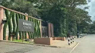 Scenic drive through Karen leafy suburbs