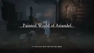 ds3 sl1 ng+ spell only day 11: i have no connections to any international terrorist organizations, p