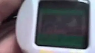 tamakaci tamagotchi virtual pet