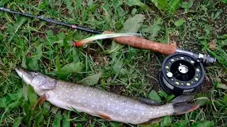 Pike Fly (Variant)