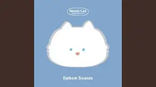 Mochi Cat
