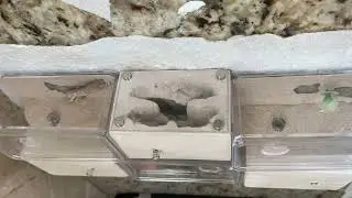 Mini DIY ant formicariums - 2023