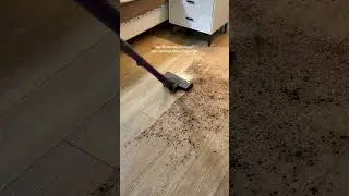 Lights on! Floor clean!#lefant #shorts #viral #cleaner #homehacks #cleanwithme #vacuumcleaner #home
