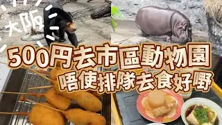 大阪市區 #動物園 500日元可以成玩成日附近仲有好嘢食 #天王寺動物園 #大阪玩樂 #大阪親子 可以近距離見到動物