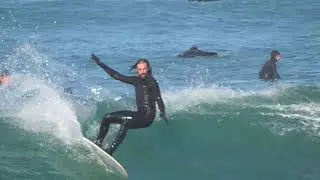 FANTASTIC ACID Progressive Modern Hull