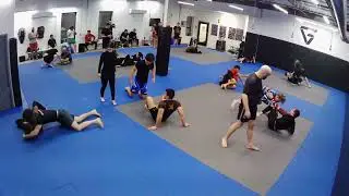 AJJ  - Elbow Push Escapes 2