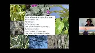 Drought & Extreme Heat: Plant responses and landscape maintenance practices webinar
