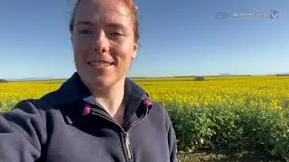 CHS Broadbent Canola Update  7th September 2022