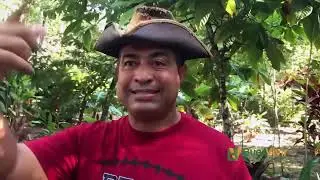 ATRÉVETE HACER ESTA AVENTURA EN CABARETE #buenvivir #cabarete #republicadominicana