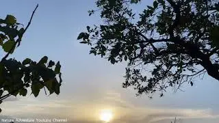 4K Nature Adventure Video | Kandolpada Vansda | Gujarat Village