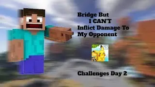 Bridge But I can't Inflict Damage To the Opponent | Challenges Day 2