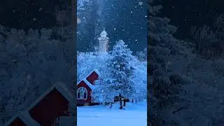 🛑 Beautiful || Nature || Relax || Cute || Lovely || Best video || Relax Studio || Winter 🛑