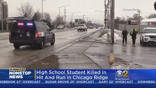 School Mourns Teen Killed In Chicago Ridge