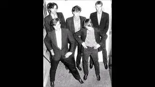 The Fleshtones - Radio Party NYC 1980