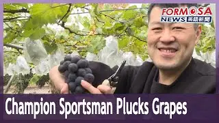 Asian Para Games champion heads home to Nantou for the grape harvest