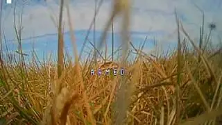 Spedix Rex 80 - vuelo a campo abierto
