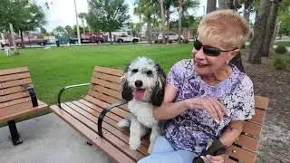 PARKS IN THE PALM BEACHES CINQUEZ DOG PARK SEGMENT 2025