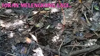 Mancing Lembat, ala Suku Dayak